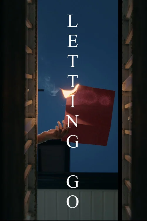 Постер: Letting Go