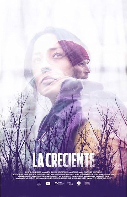 Постер: La creciente