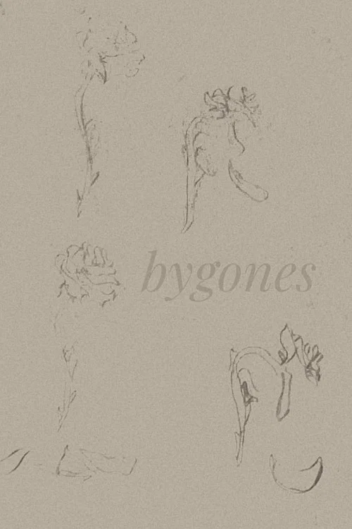Постер: Bygones