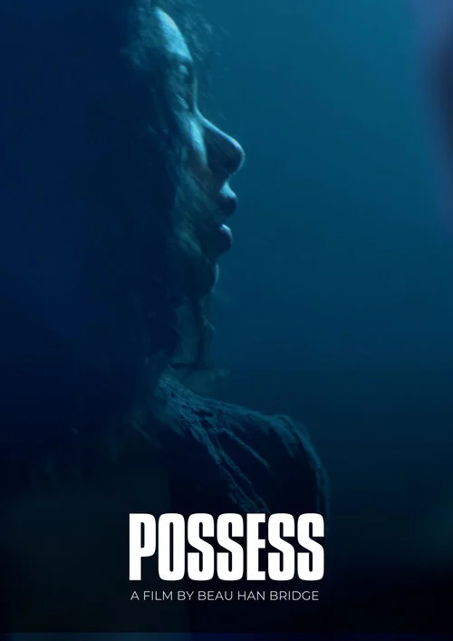 Постер: Одержимость