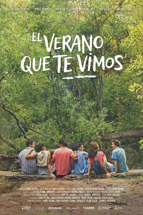 Постер: El Verano que te Vimos