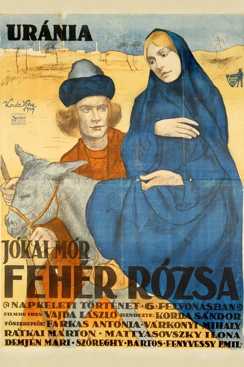 Постер: Белая роза