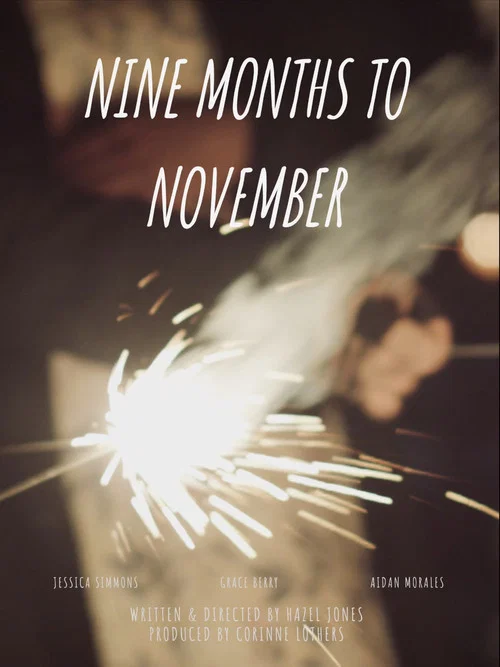 Постер: Nine Months to November