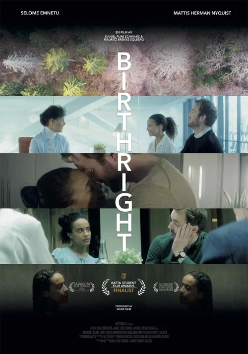 Постер: Birthright