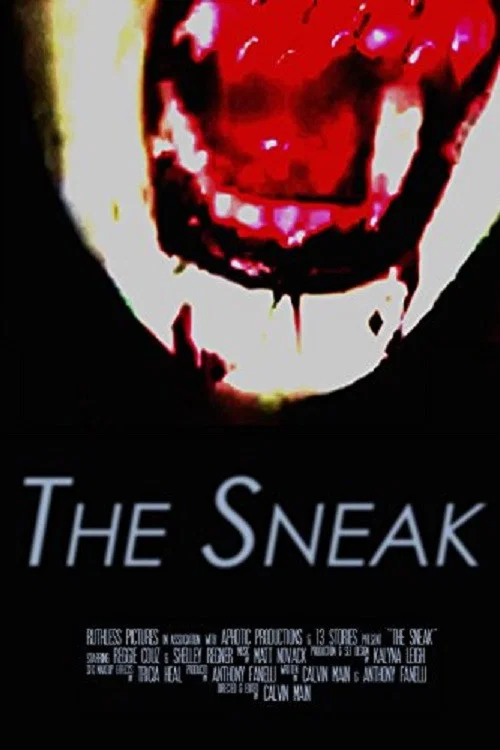 Постер: The Sneak