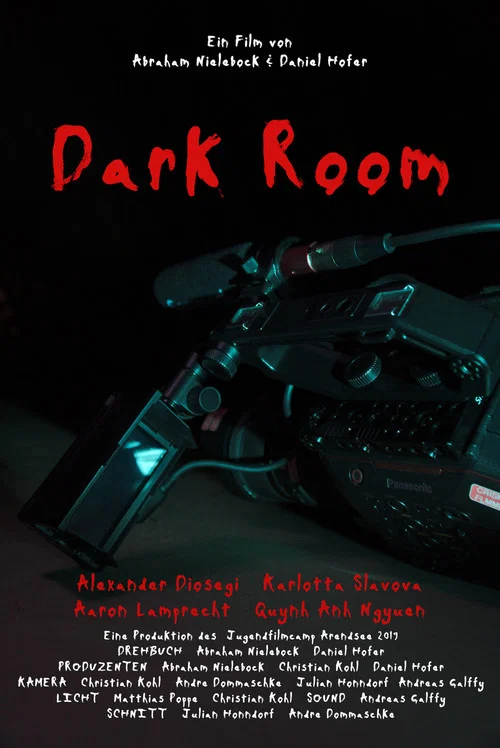 Постер: Dark Room