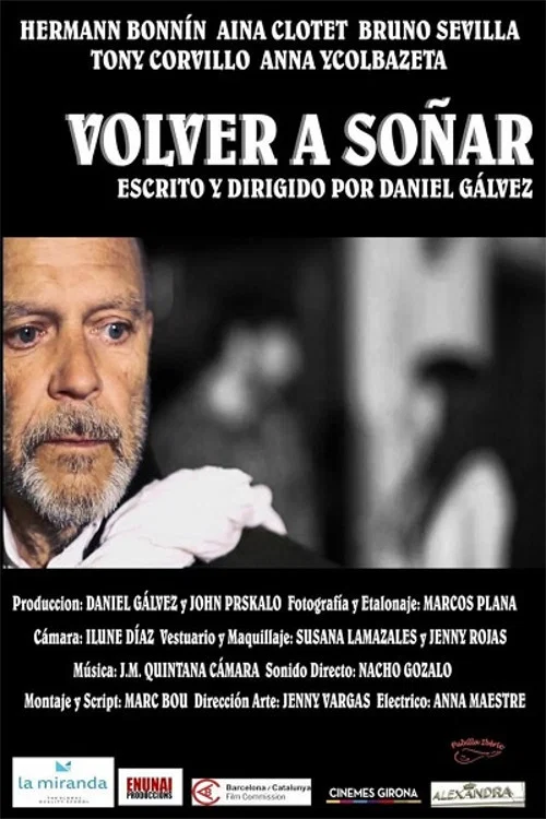 Постер: Volver a soñar