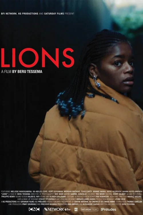 Постер: Lions