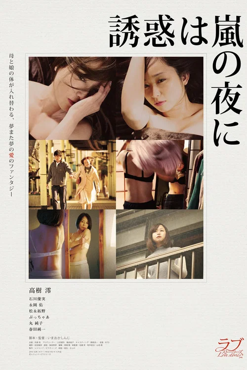 Постер: 誘惑は嵐の夜に