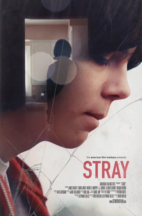 Постер: Stray