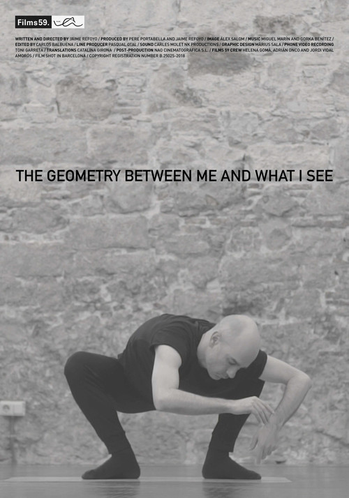 Постер: The Geometry Between Me and What I See