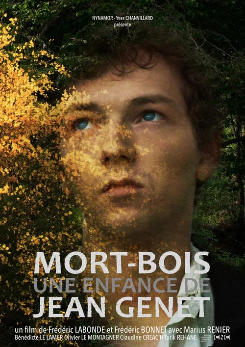 Постер: Mort-Bois