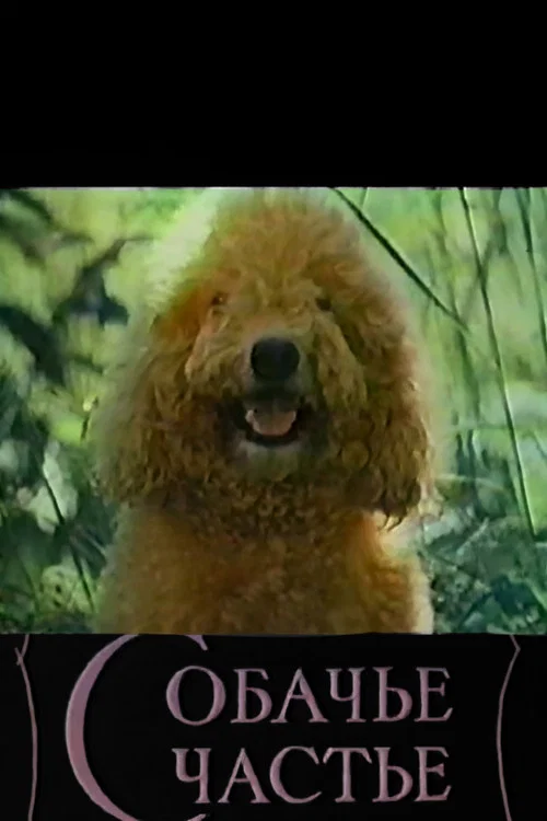 Постер: Собачье счастье
