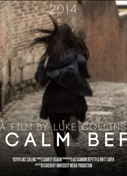 Постер: The Calm Before