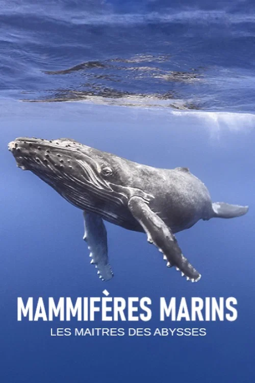 Постер: Mammifères marins: Les maîtres des abysses