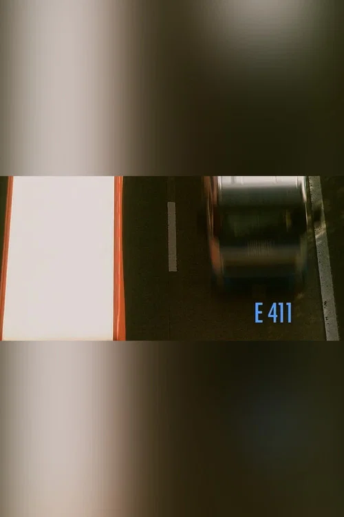 Постер: E411