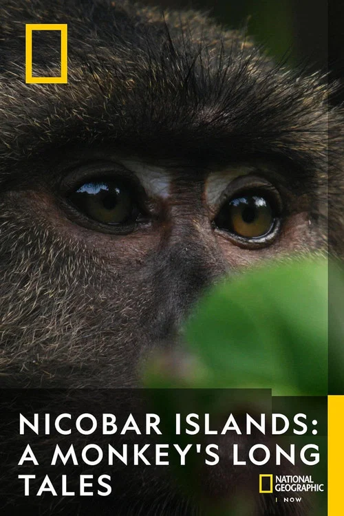 Постер: Nicobar Islands: A Monkey's Long Tale