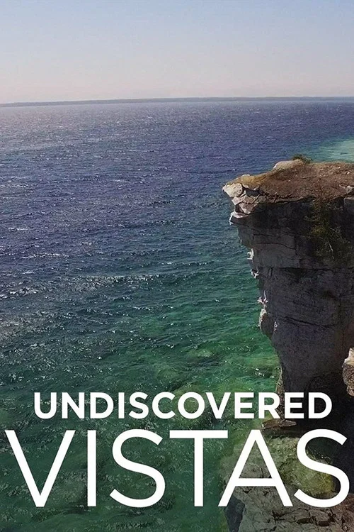 Постер: Undiscovered