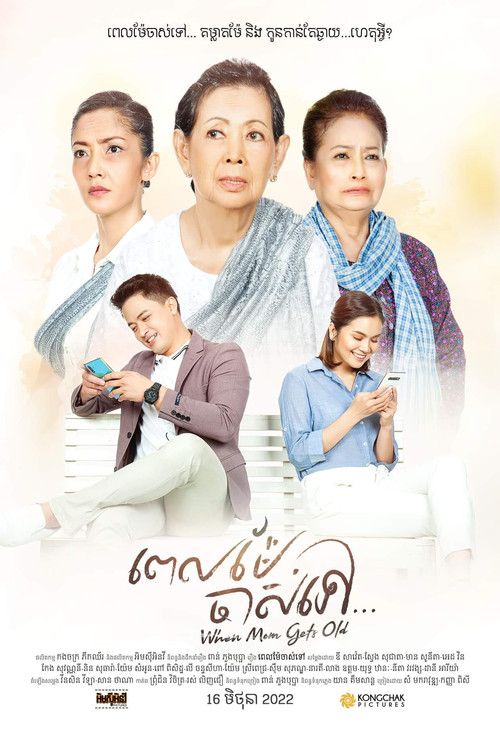 Постер: When Mom Gets Old III