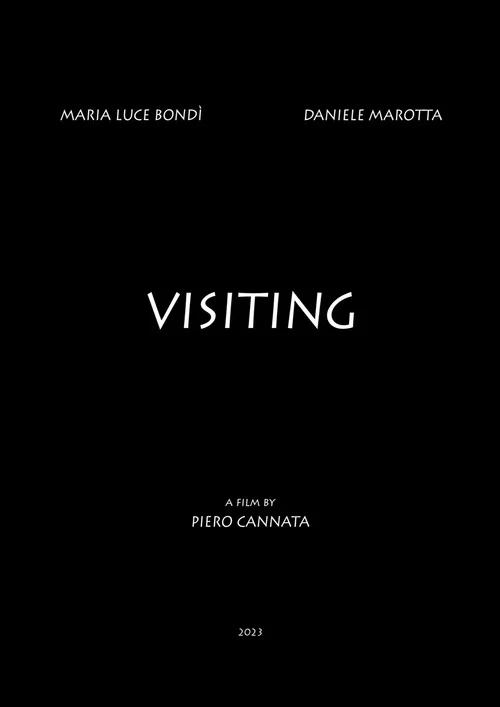 Постер: Visiting