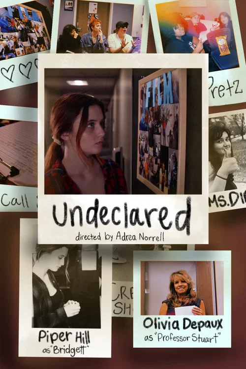 Постер: Undeclared