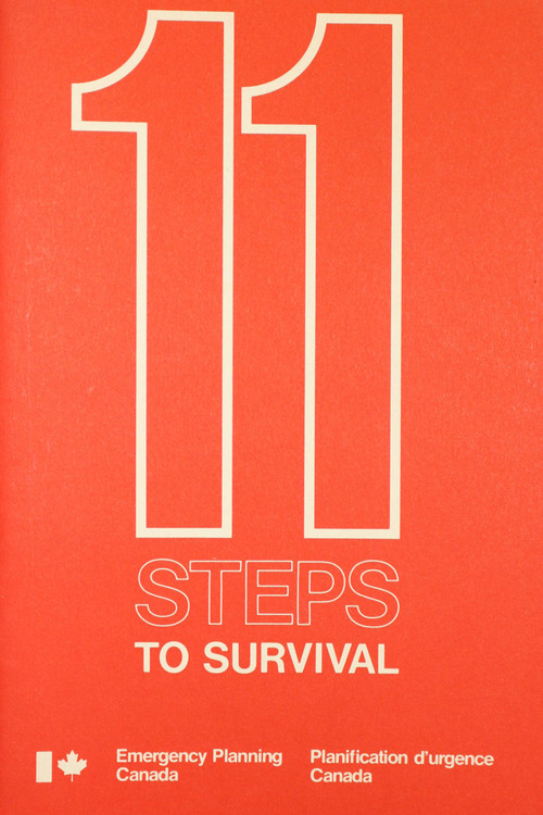 Постер: 11 Steps to Survival