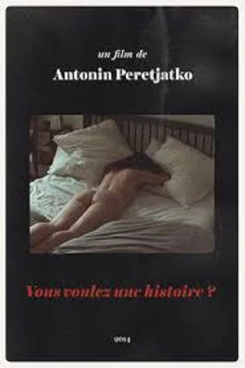 Постер: Vous voulez une histoire?