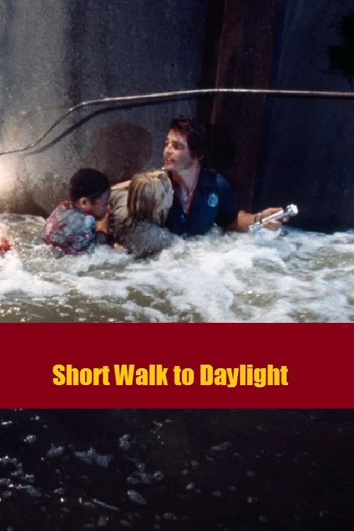 Постер: Short Walk to Daylight