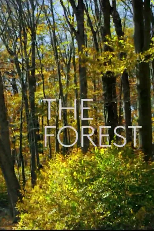 Постер: The Forest