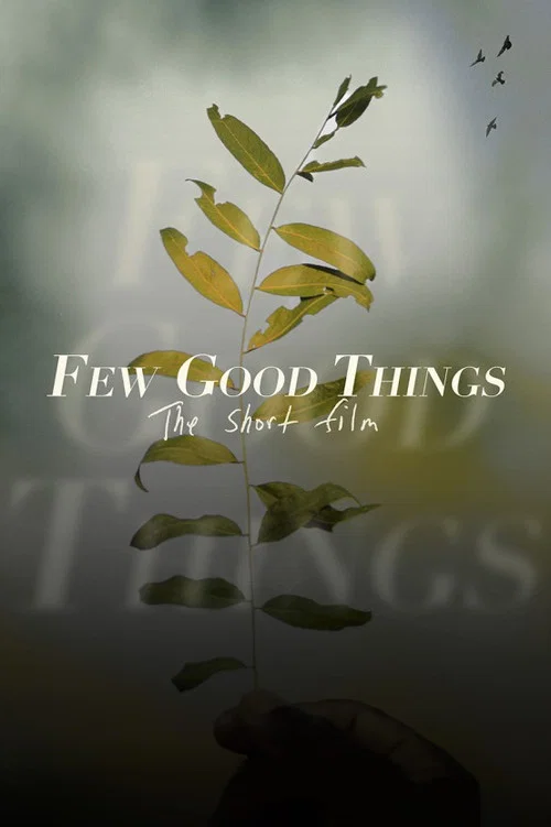 Постер: Few Good Things