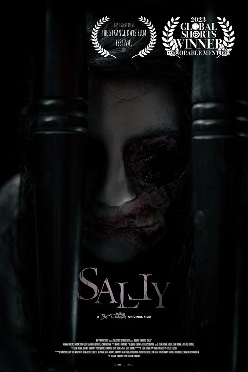 Постер: Sally