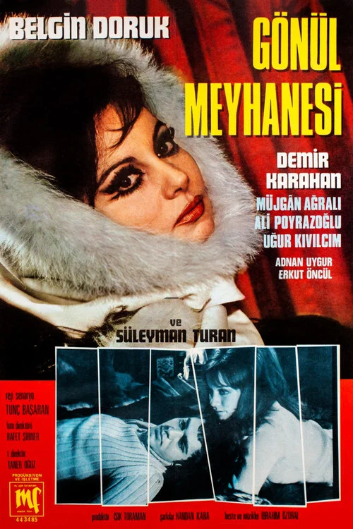 Постер: Gönül Meyhanesi