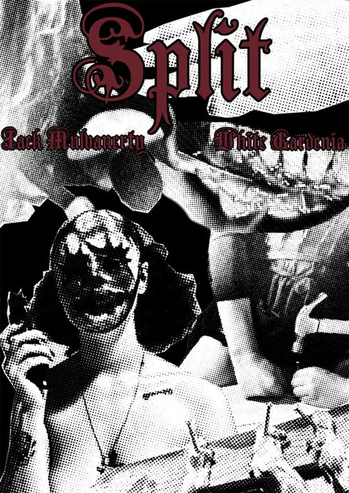 Постер: Split