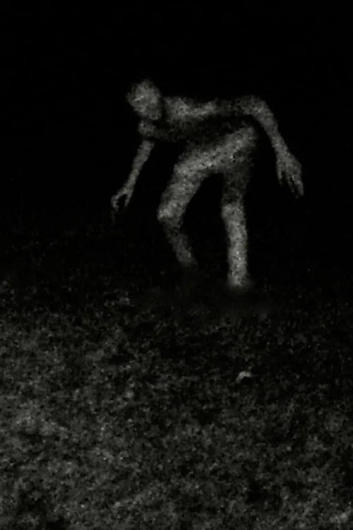 Постер: Stalking