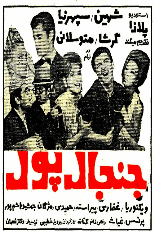 Постер: Janjal-e pool