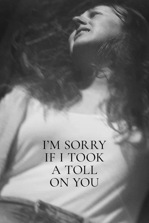 Постер: I'm Sorry If I Took a Toll on You