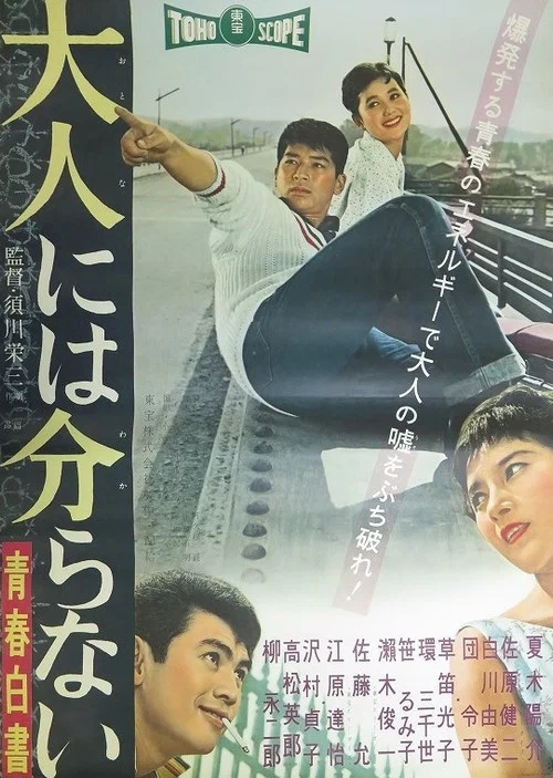 Постер: Otona niwa wakaranai: Seishun hakusho