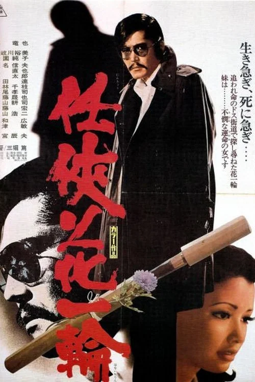 Постер: Ninkyô hana ichirin