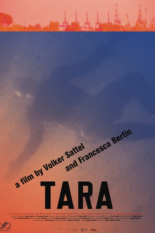 Постер: Тара