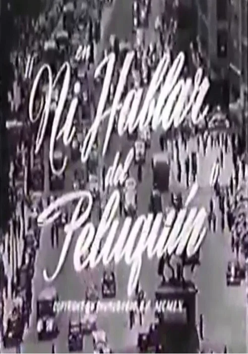 Постер: Ni hablar del peluquín
