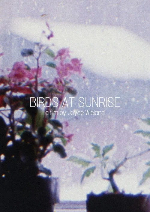 Постер: Birds at Sunrise