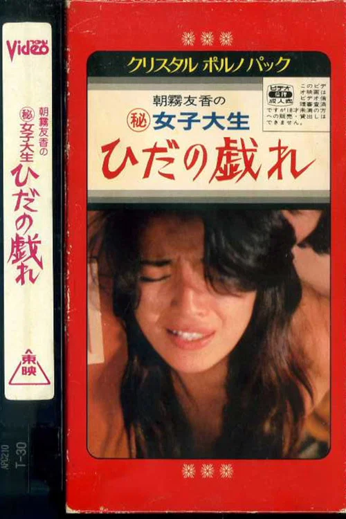 Постер: 女子大生 ひだの戯れ