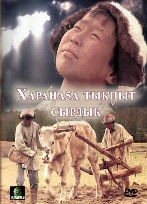 Постер: Свет во тьме