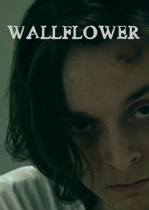 Постер: Wallflower