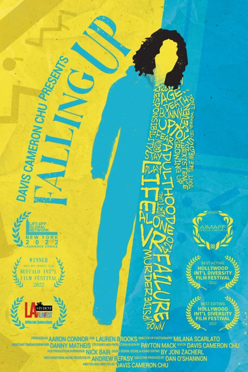 Постер: Falling Up
