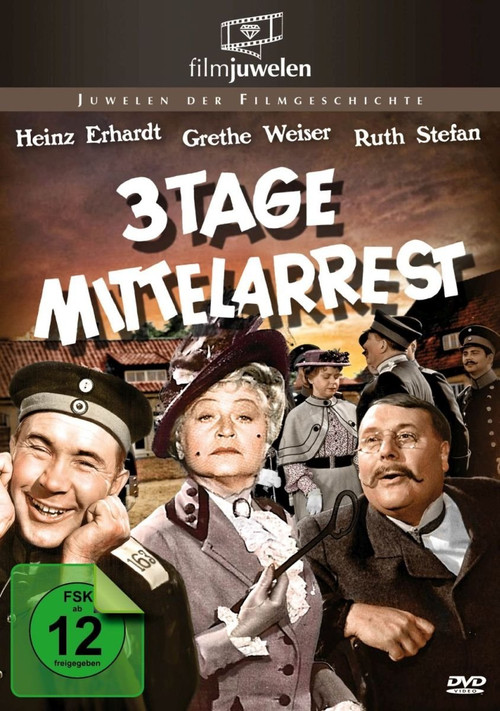 Постер: Drei Tage Mittelarrest