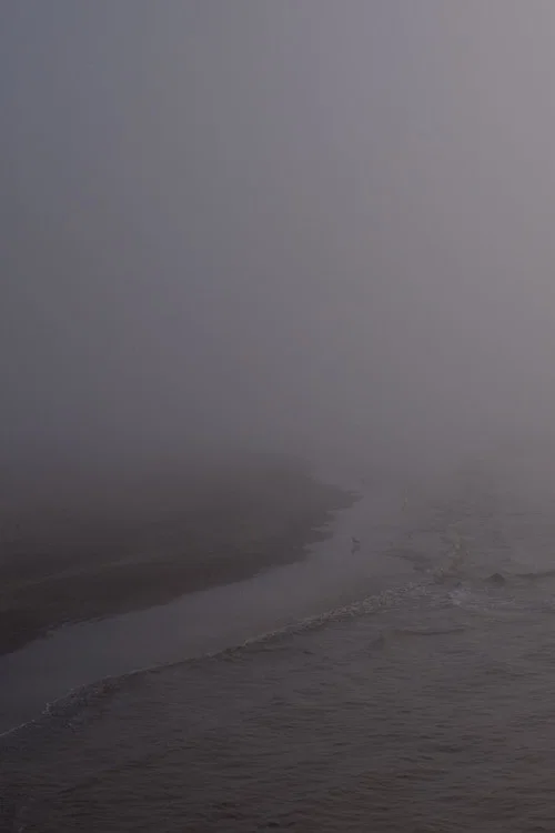 Постер: Niebla
