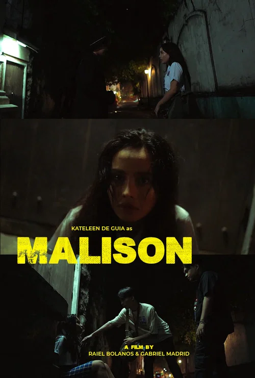 Постер: Malison