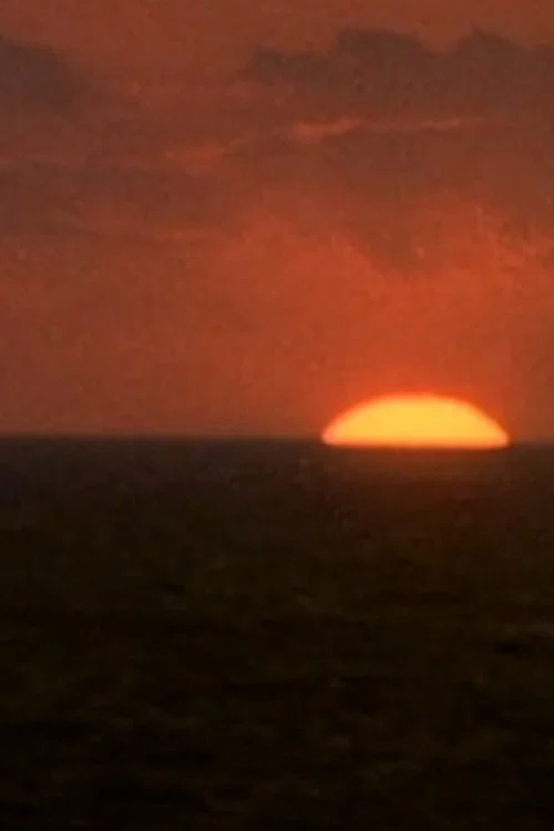 Постер: Kodachrome
