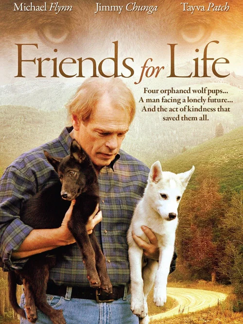 Постер: Friends for Life